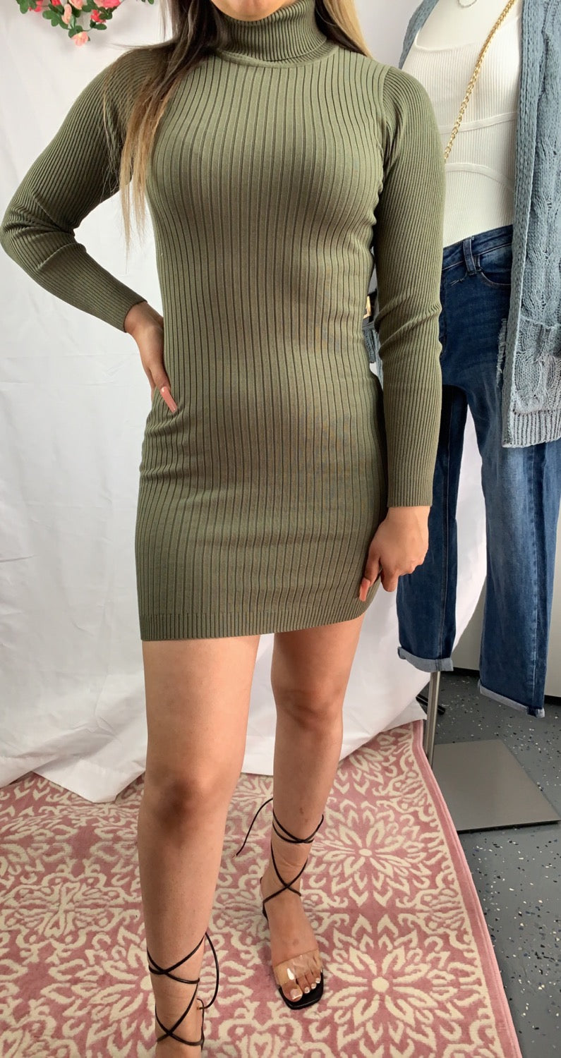 Kelly Turtleneck Ribbed Mini dress